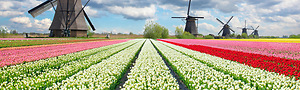 Pays-Bas