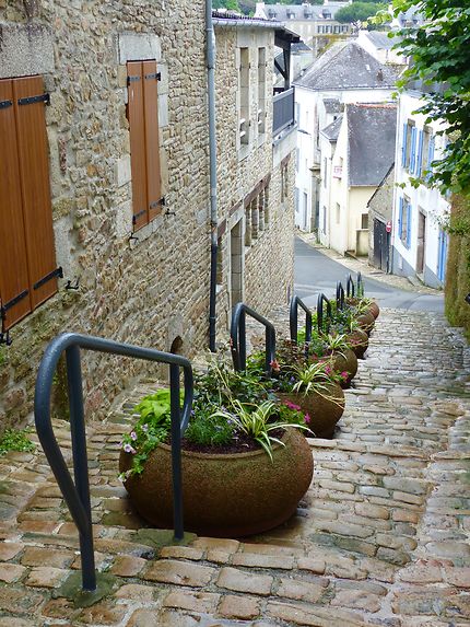 Escalier fleuri