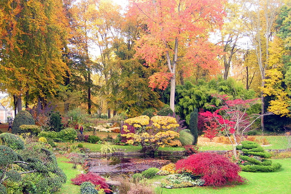 Jardin anglo-japonais Château de Courances