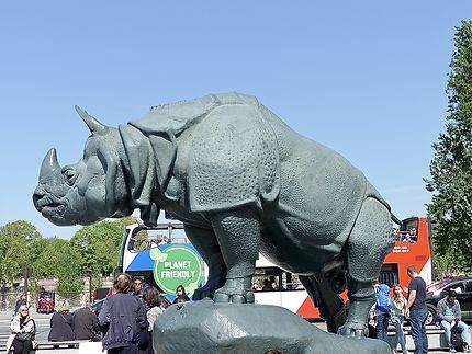 Le colossal Rhinocéros 
