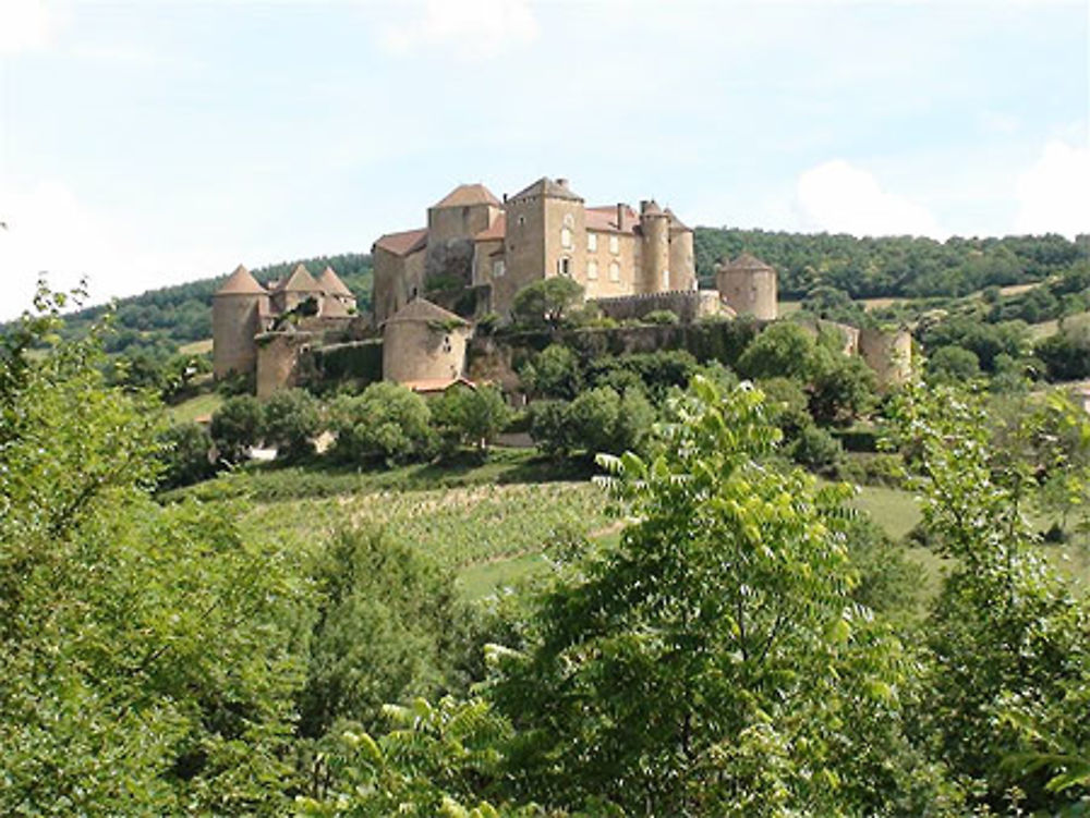 Château de Berzé