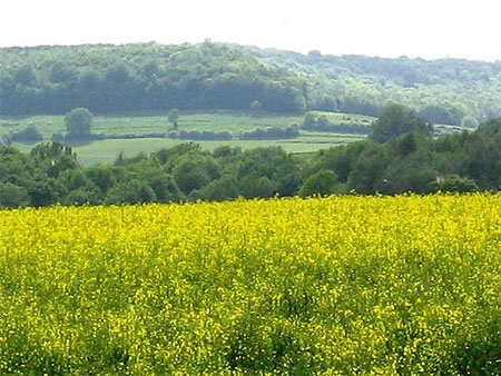 La Ferté La Ferté