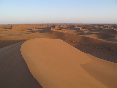 Dunes de sable Dunes de sable