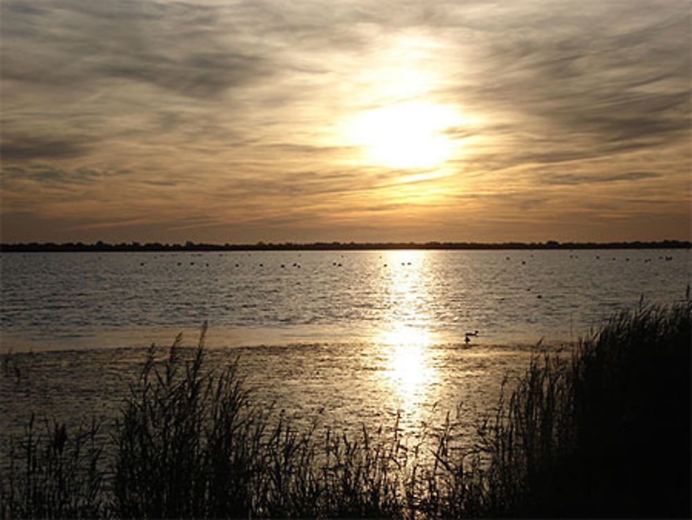 Coucher de soleil en Camargue