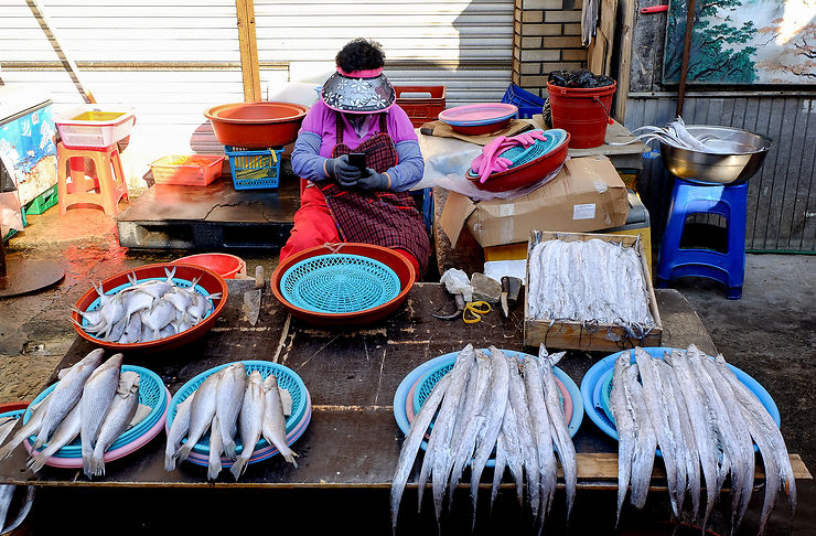 Le marché aux poissons de Busan © Isarint - stock.adobe.com