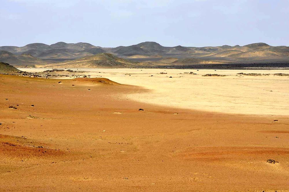 Dorob National Park