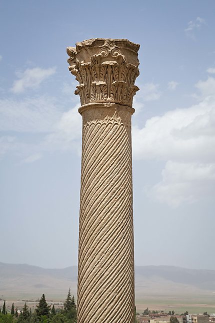 Aurès - Timgad - Colonne cannelée et son chapiteau