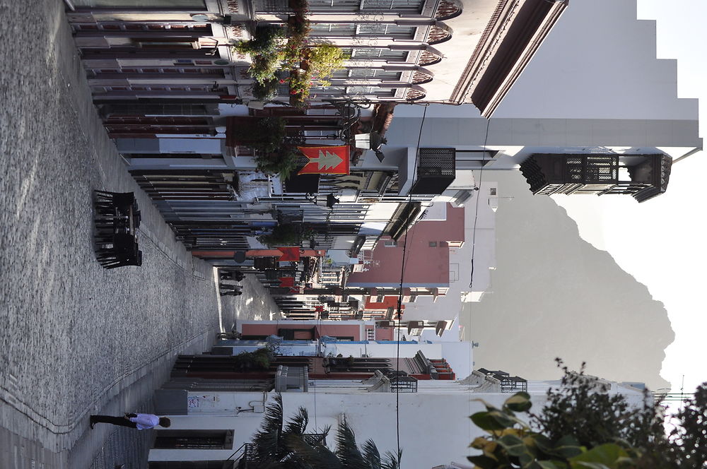 Calle O'Daly