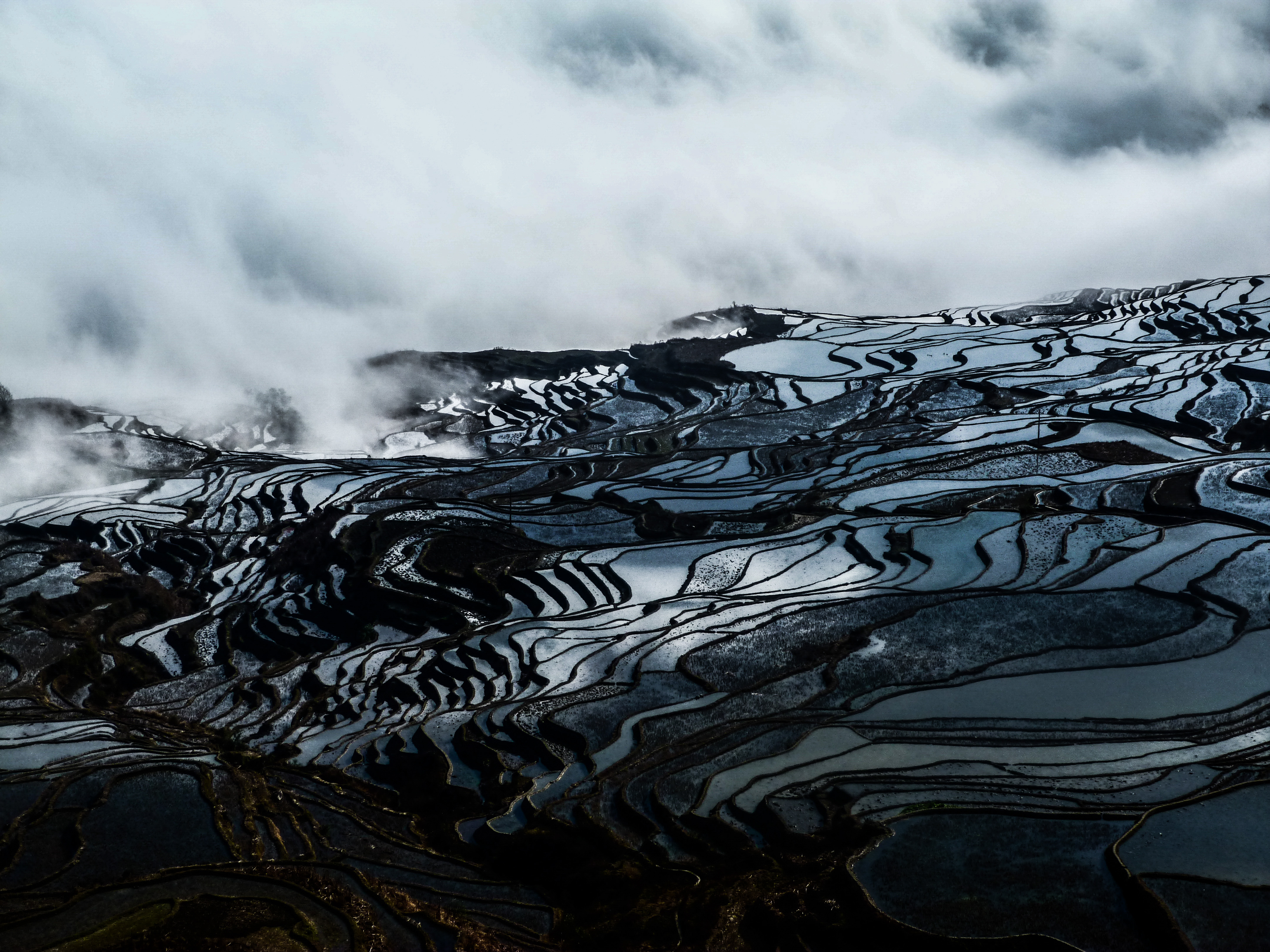 Rizières de Yuanyang Rizières de Yuanyang