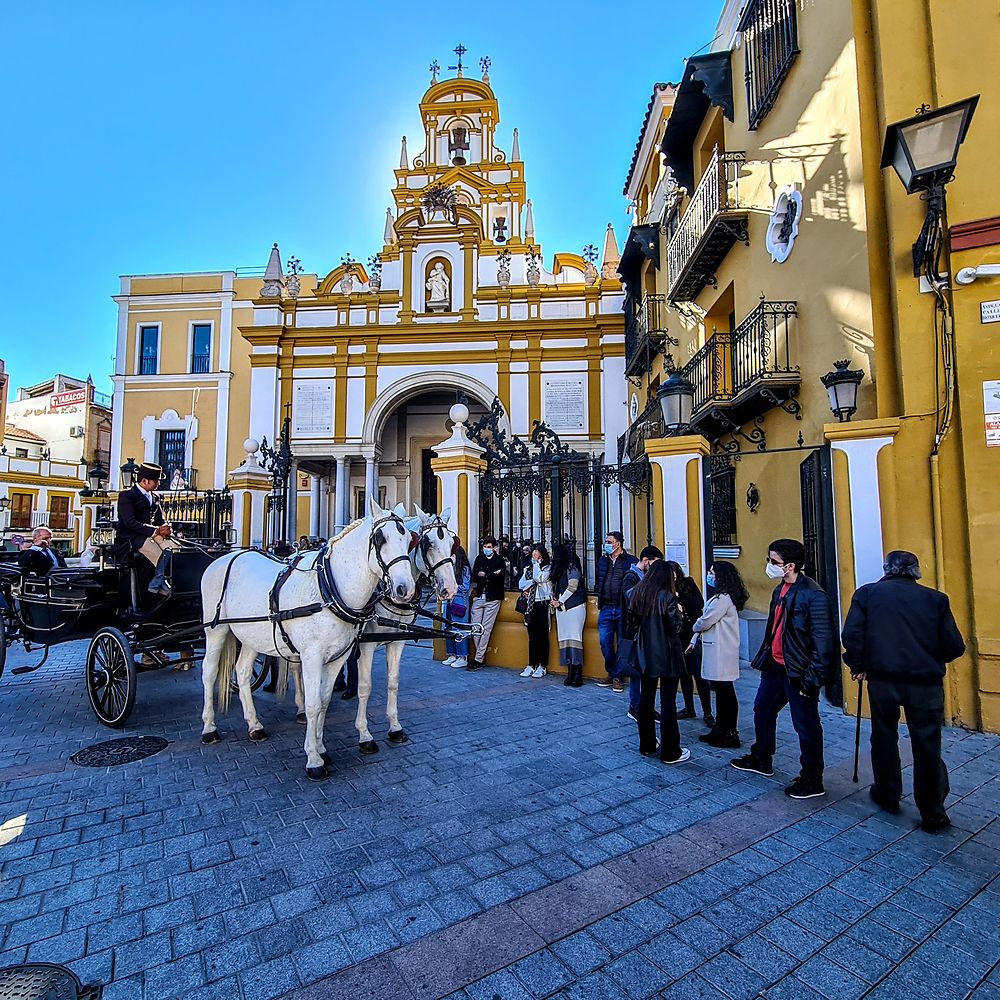  Basilique de la Macarena seville 