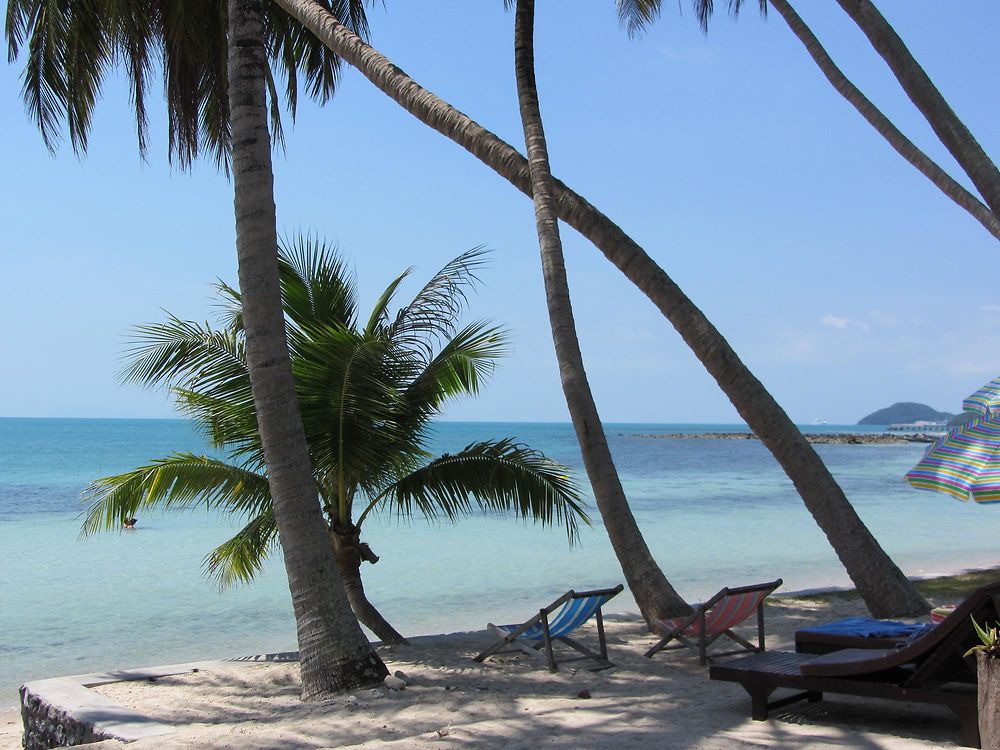 Plage paradisiaque