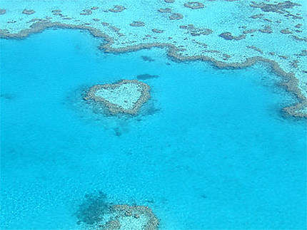 The Heart Reef