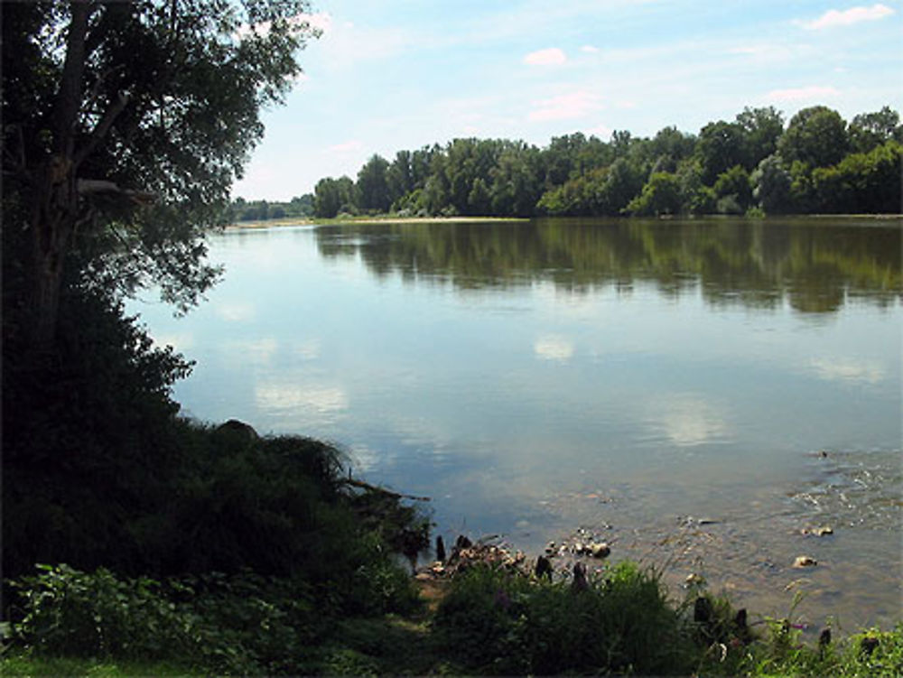 Bords de Loire à Myennes