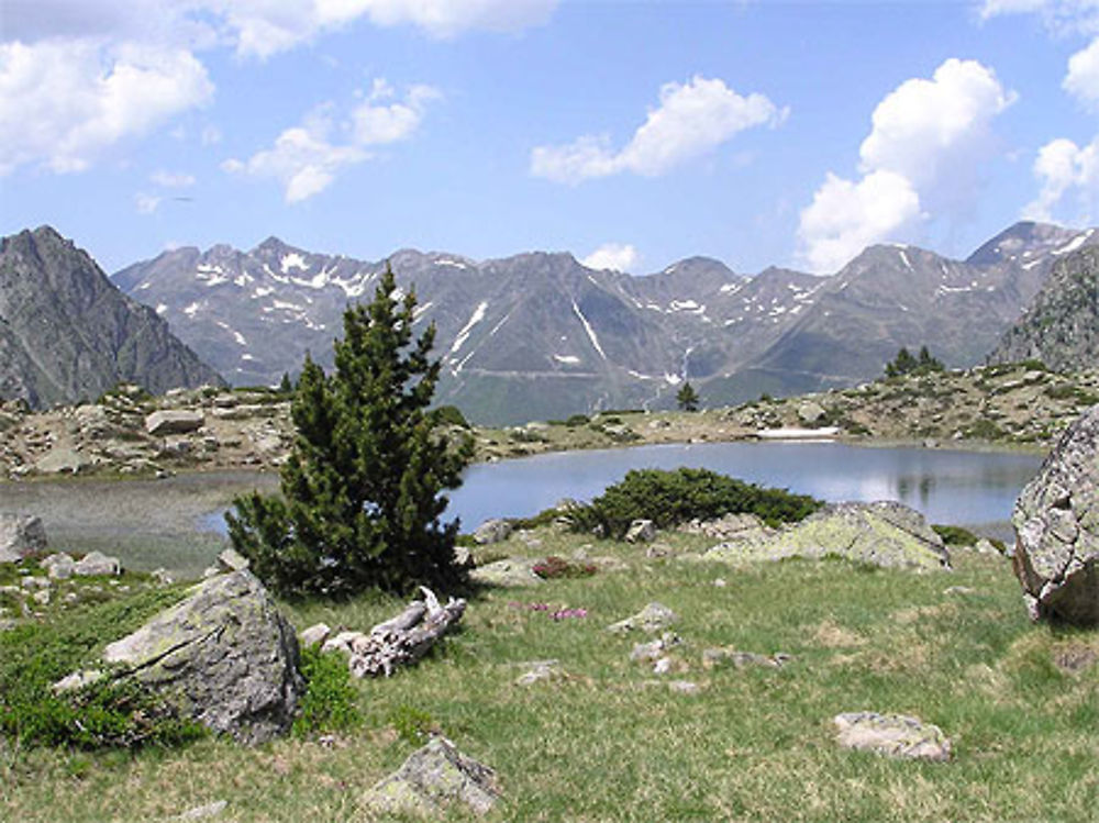 Lac de la Jonquère