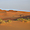 La Dune de Merzouga
