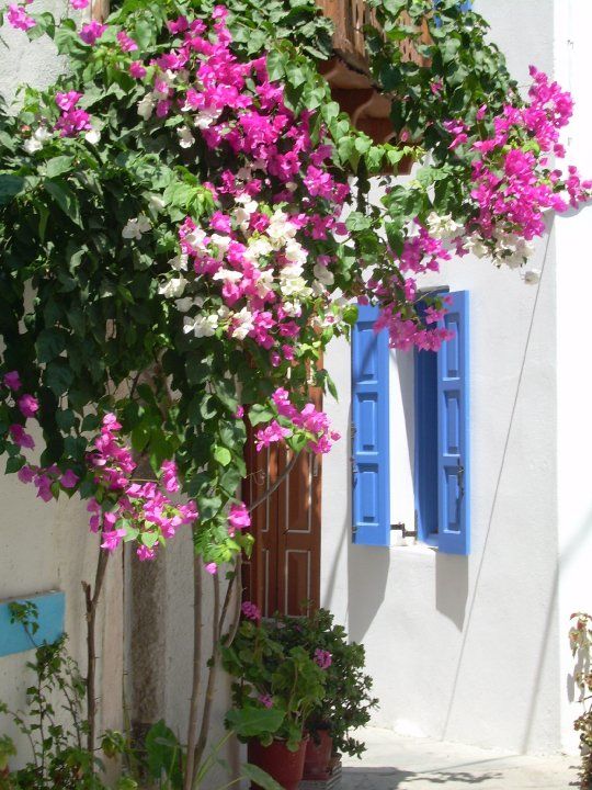 Maison fleurie, Mandraki, Nisyros