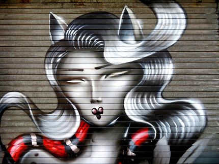 Street art Lady Cat par (Kaldéa) 