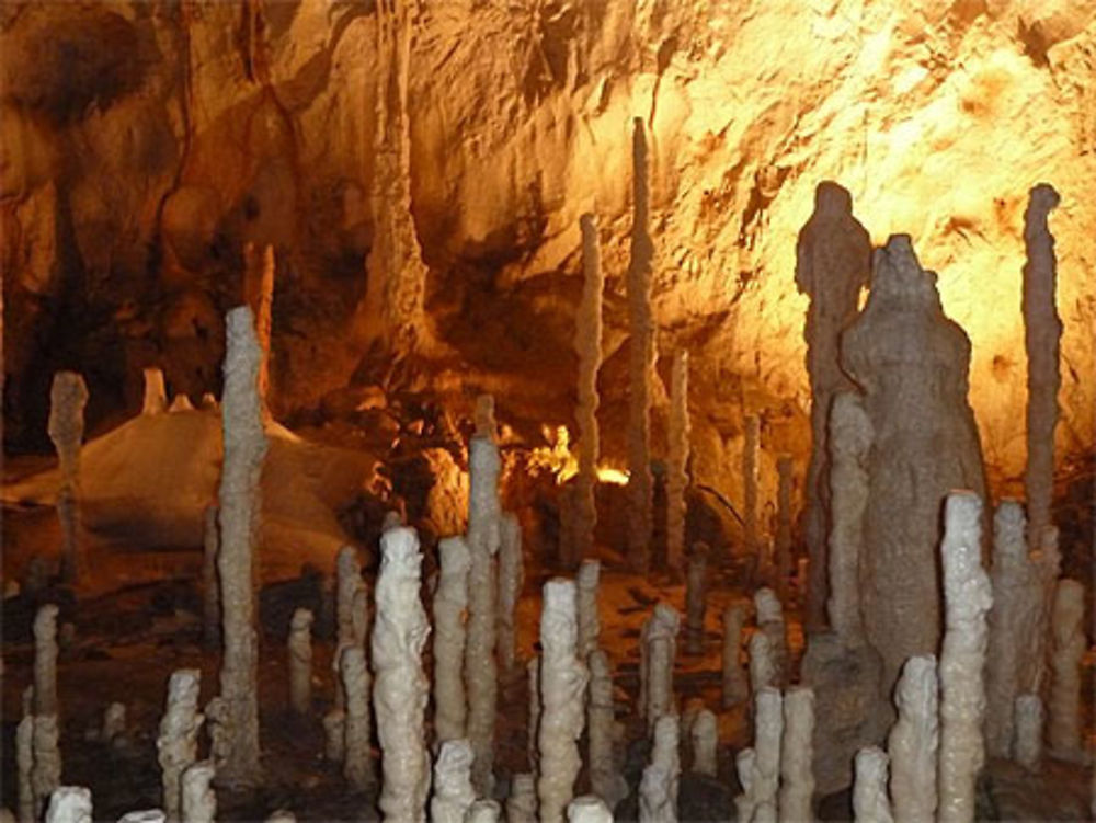 Stalagmites de la grotte de l'Ours 