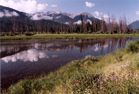 Vermillion Lake : Lacs : Vermilion Lakes : Parc national de Banff