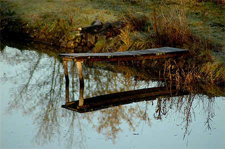 Automne en Sologne Automne en Sologne