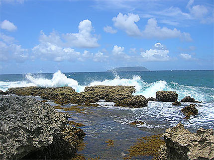 Vue sur la Désirade