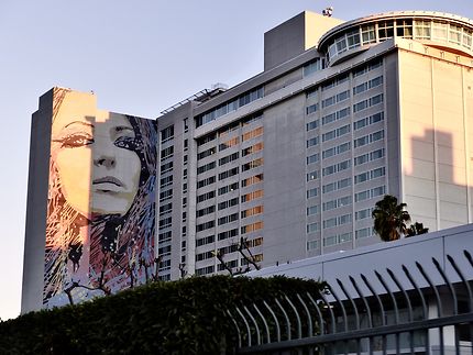 Street art à Hollywood 