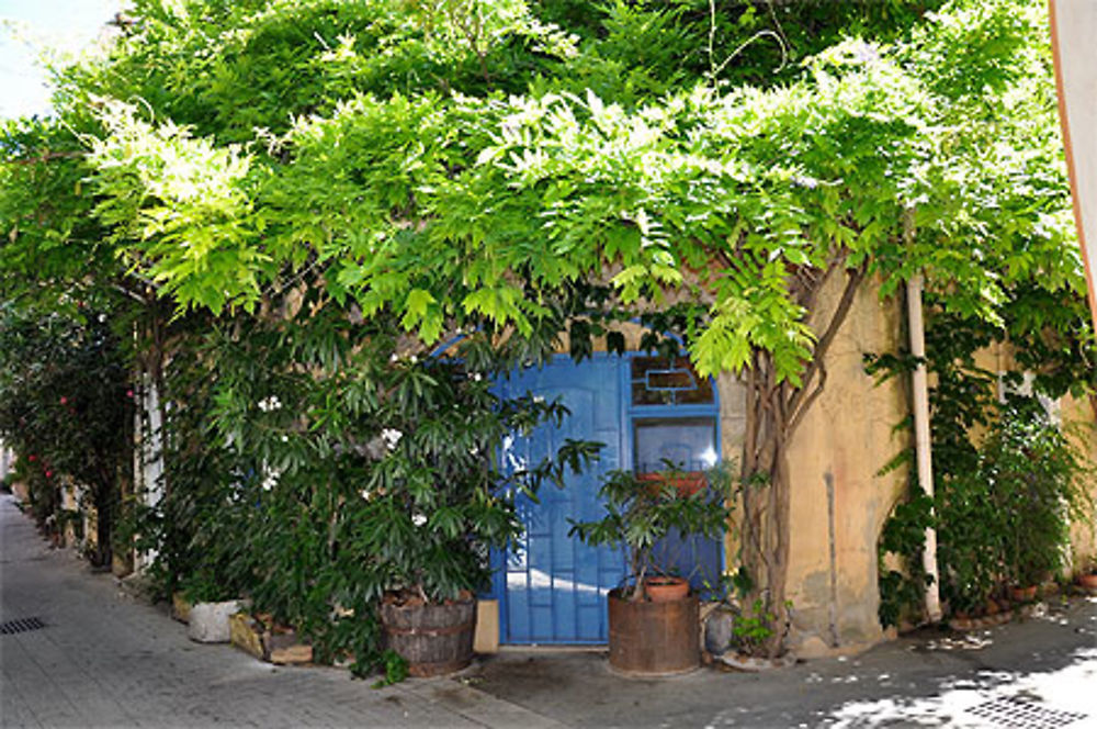 A l'ombre de la glycine