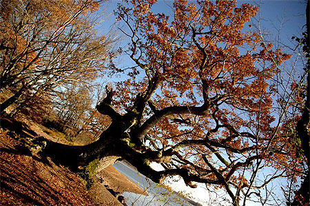 Couleurs d'Automne Couleurs d'Automne