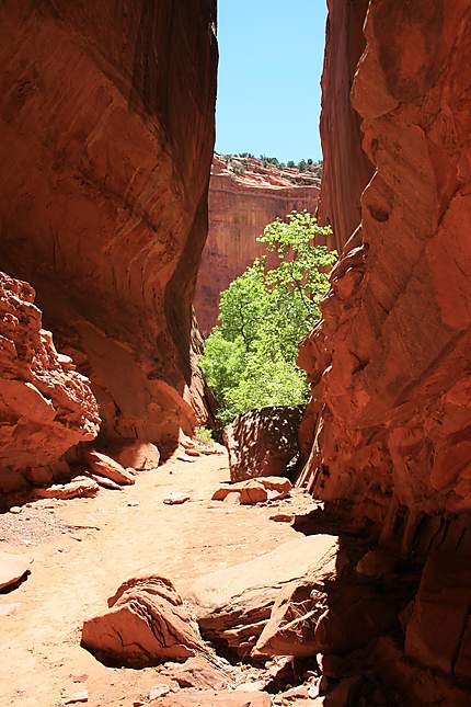 Slot proche de la Burr Trail Road