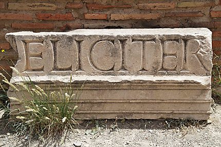 Aurès - Timgad - Inscription latine