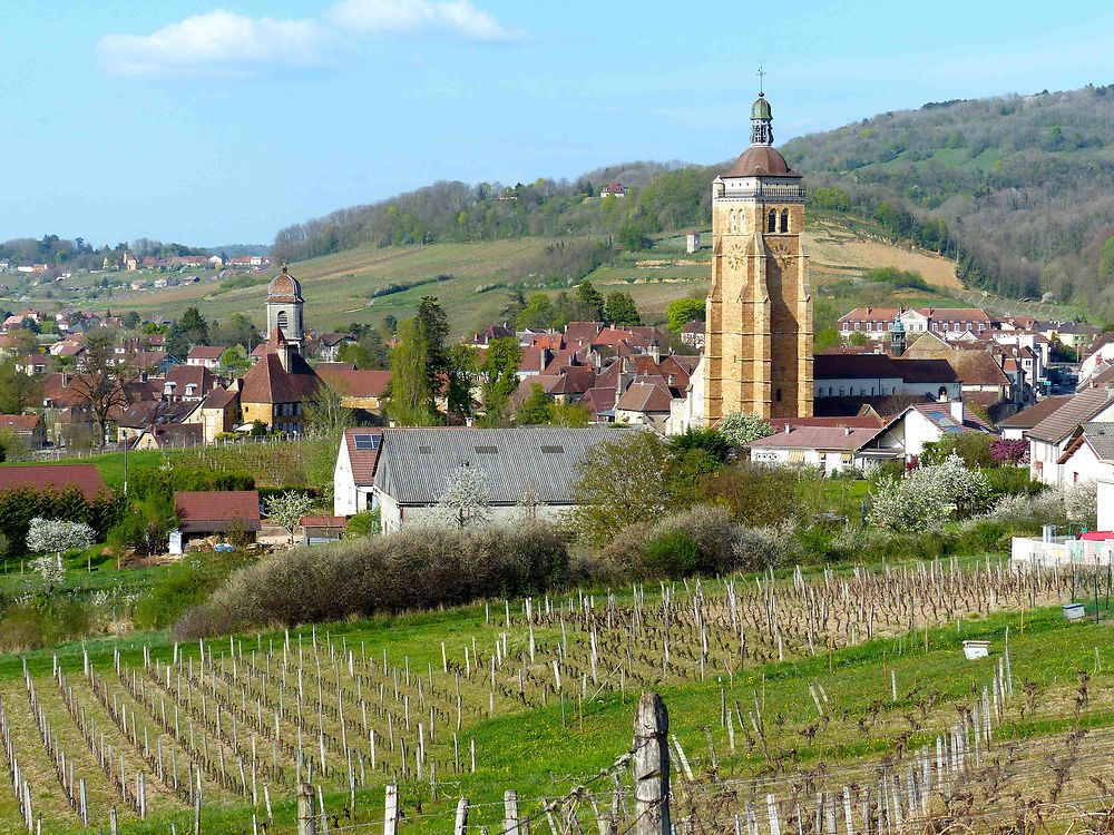 Arbois vu des vignes