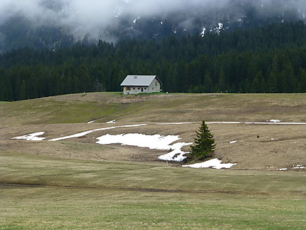 Reste de neige