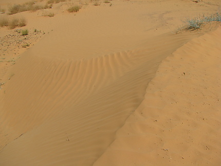 Le désert à Tataouine