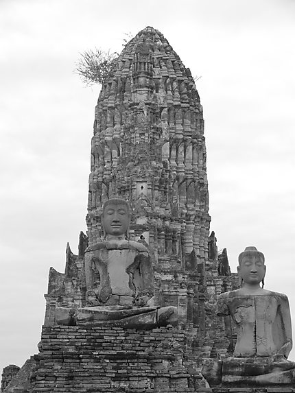 Bouddha à Ayutthaya