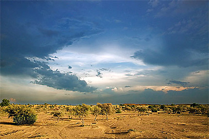 Désert de Jaisalmer