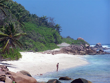 Anse fourmi - La Digue Anse fourmi - La Digue