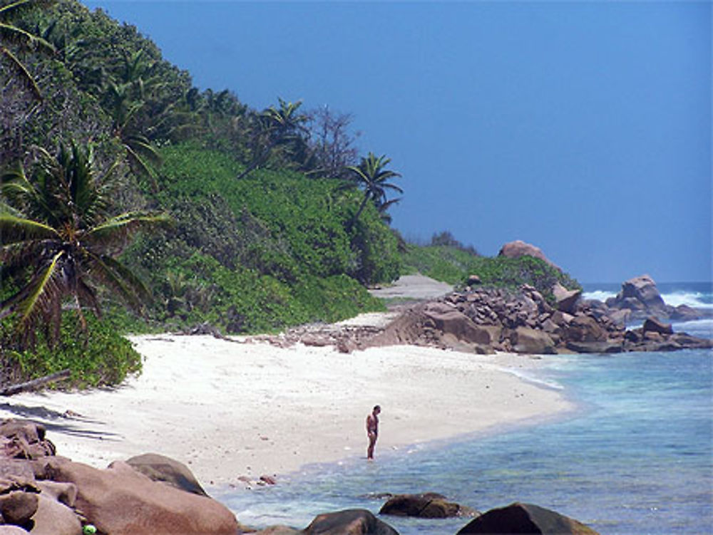 Anse fourmi - La Digue