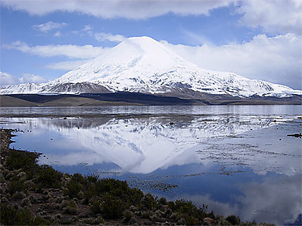 Volcan Parinacota et lac chungara