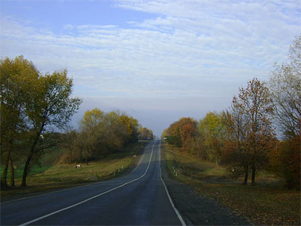 Route en automne