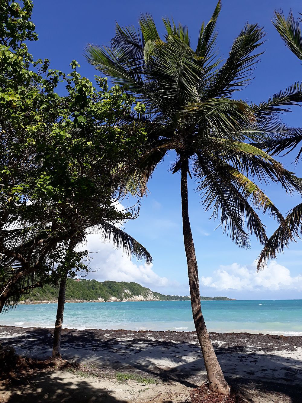 Plage de la saline