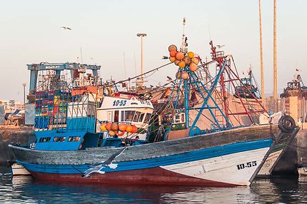 Un chalutier au port d'Essaouira