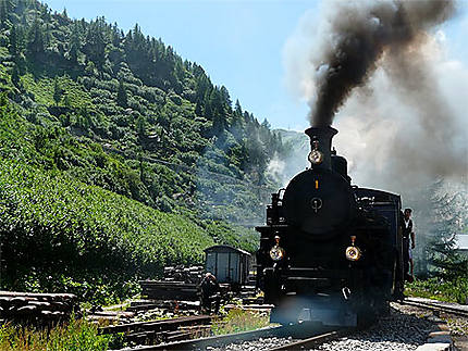 Train à vapeur - Glacier du Rhône