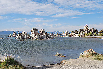 Concrétions calcaires du Mono Lake