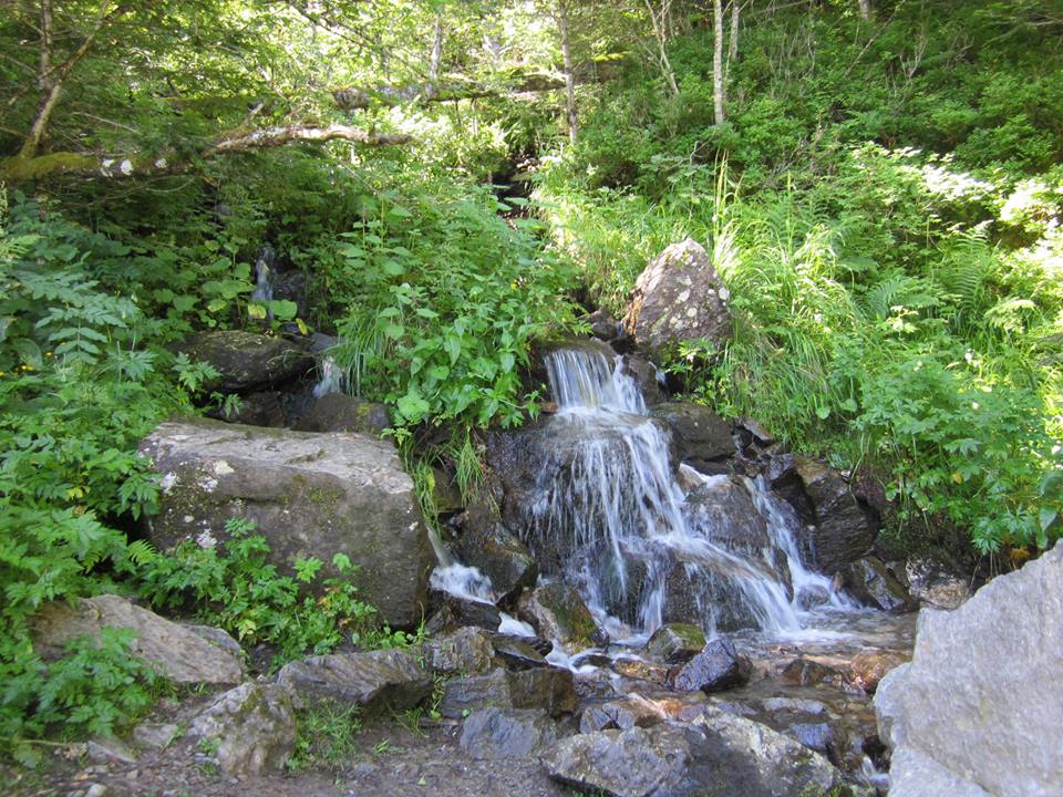 Petite cascade Petite cascade
