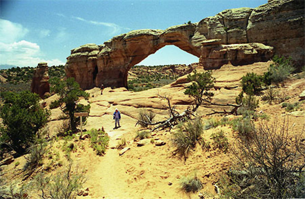 Broken Arch