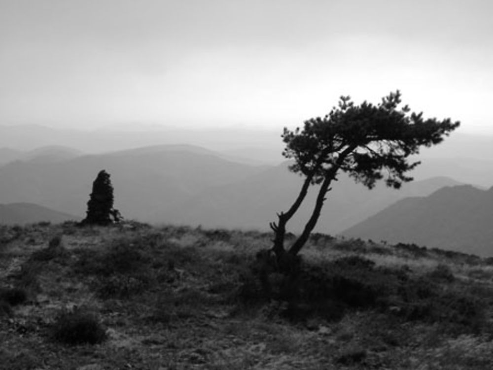 Mont Caroux