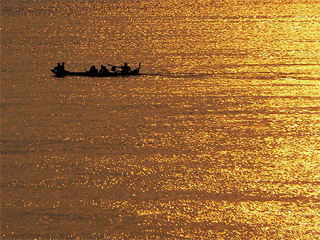 De l'or De l'or
