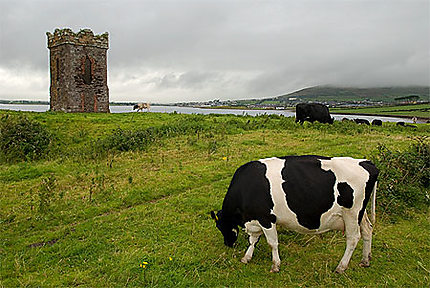 Scoth Tower