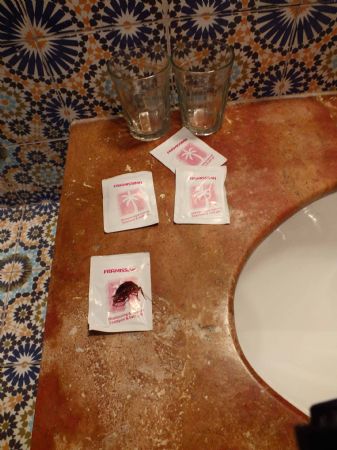 Framissima Karam Palace Hôtel