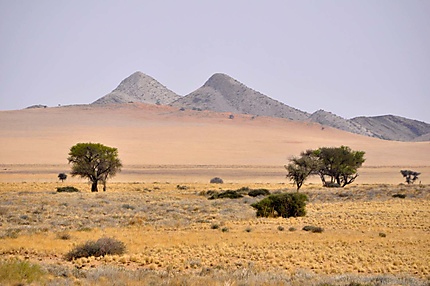 Parc national Namib Naukluft